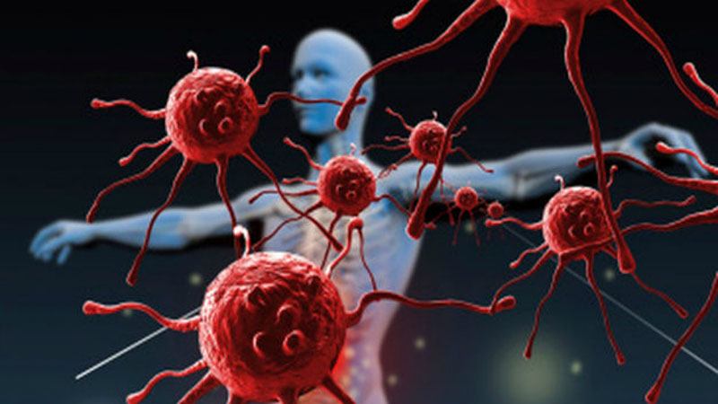 Hallazgos sobre el surgimiento de enfermedades autoinmunes