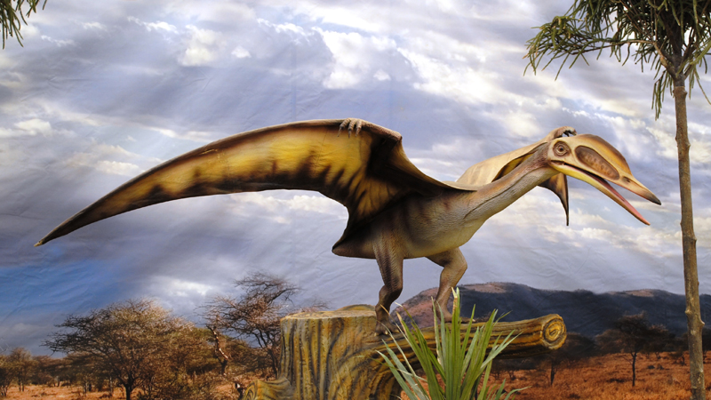 Hallan raro pterosaurio triásico en Utah