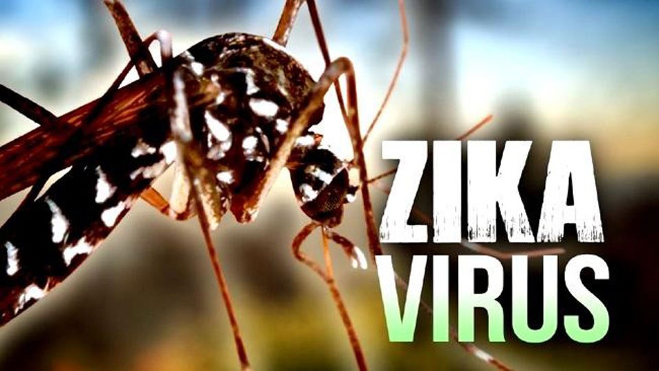 Más casos Zika en la Florida