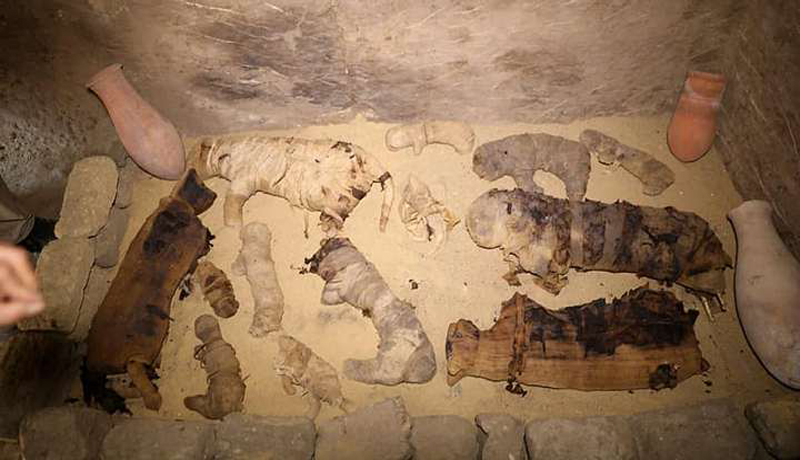 Hallan momias nunca vistas en una cripta de Saqqara, Egipto