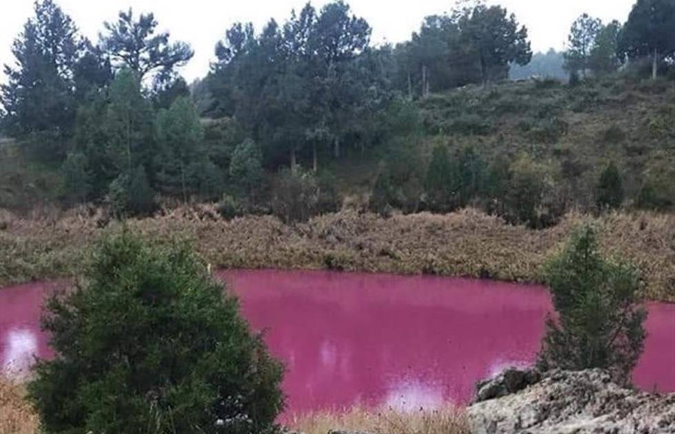 Laguna se volvió rosa por raro fenómeno químico