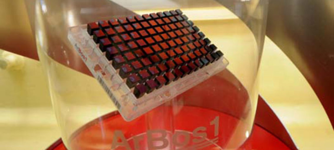 Microchip para detectar tuberculosis en animales