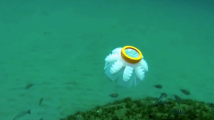 Medusas robot para cuidar los océanos
